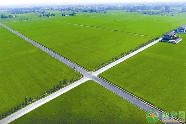 2021年土地确权有哪些新政策