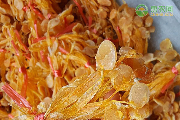 明目鱼产地在哪？明目鱼常见的种类有哪些？