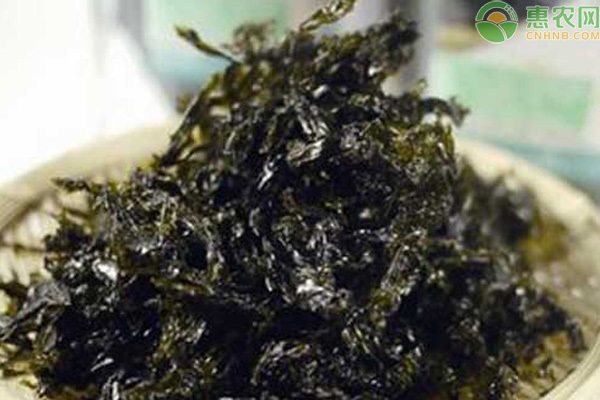 霞浦紫菜的产地是在哪里？为什么好吃出名？