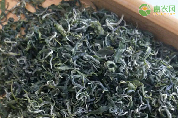 毛尖茶产地在哪？毛尖茶有哪些品种分类？