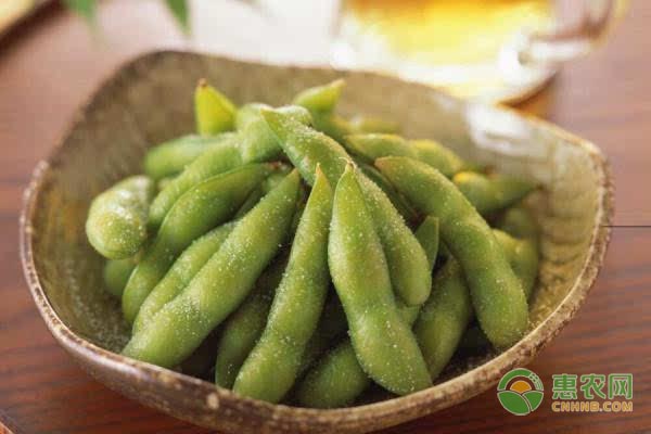 毛豆主要分布在哪些区域？