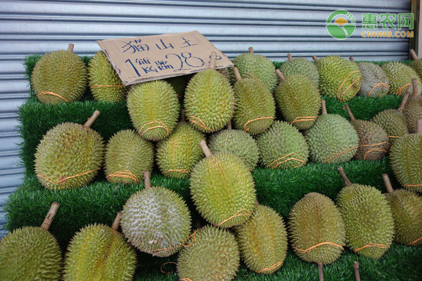 榴莲品种大全介绍