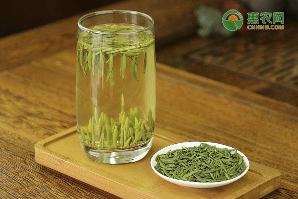 龙井茶的主要产地在哪？