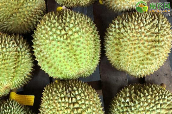 市面上常见的榴莲品种有哪些？如何挑选榴莲？