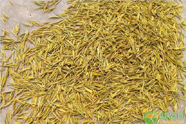 黄茶的产地分布在哪？有哪些分类？