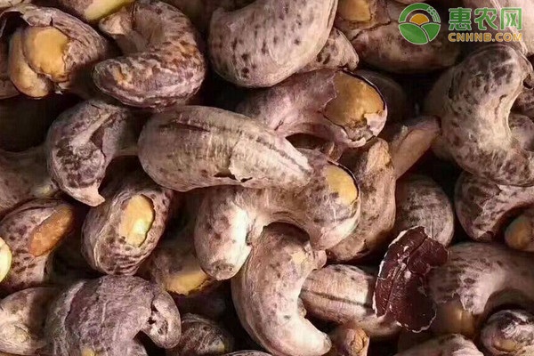 哪里产的腰果好吃？腰果带皮的好还是不带皮的好？