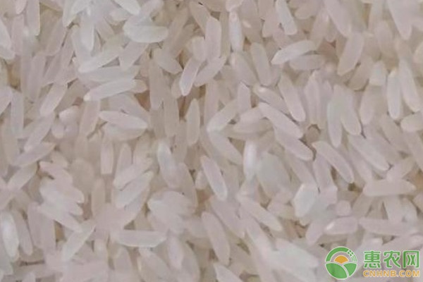 富硒米是什么米？和普通米的区别在哪？