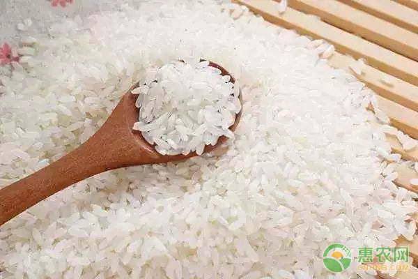 营口大米和盘锦大米哪个更好？