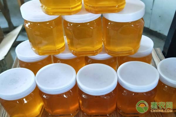 北方蜂蜜的种类有哪些？