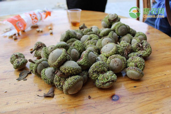 风流果产地分布在哪？怎么吃？