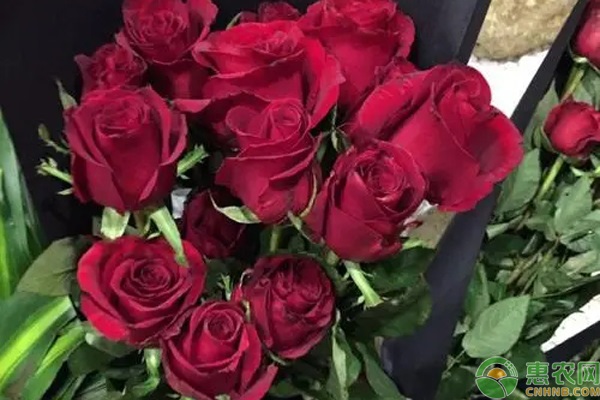 玫瑰价格暴涨的原因是什么？