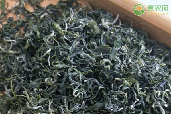 湖南十大名茶都有哪些？
