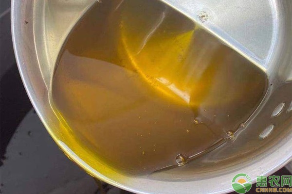我国哪里产的茶油好？