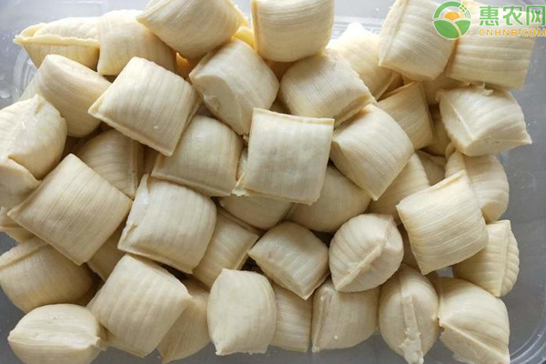 包浆豆腐哪里的最正宗好吃？