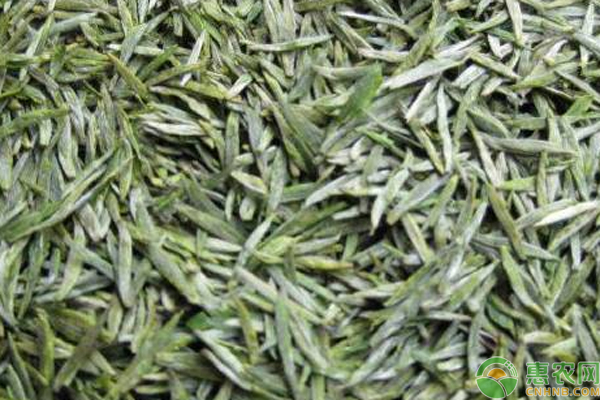 敬亭绿雪茶叶价格多少一斤？