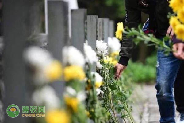 清明节习俗和饮食，南北有哪些不同？