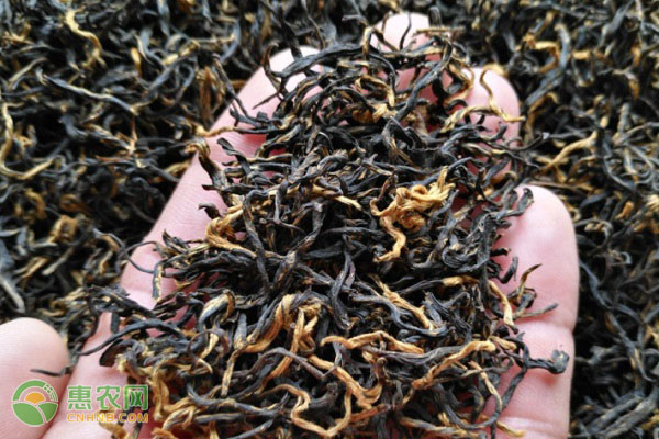 湖北名茶排行榜前十名