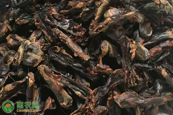 牛肉干能保存多久？牛肉干太硬咬不动怎么办？