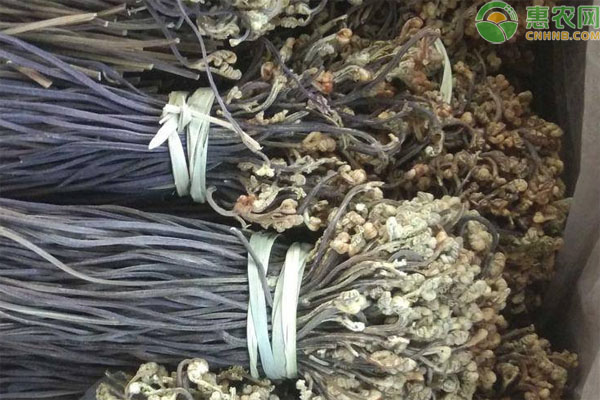 干蕨菜价格多少钱一斤？怎么泡才能快速变软？