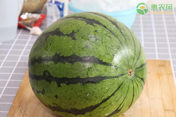 西瓜分公母吗？怎么区分？