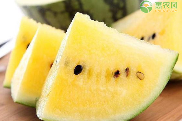 黄心西瓜是转基因的吗？和红心西瓜有什么区别？