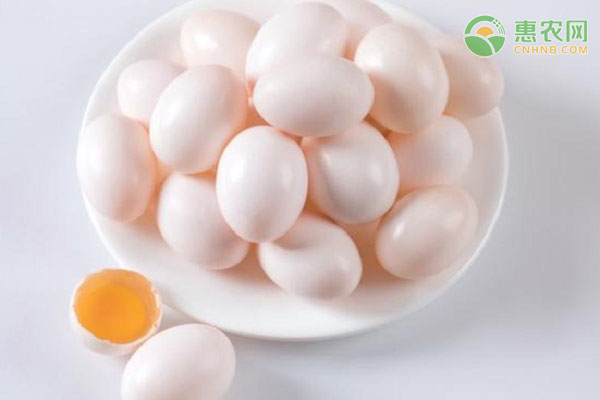 鸽子蛋要怎么吃？鸽子蛋和鹌鹑蛋有什么区别？