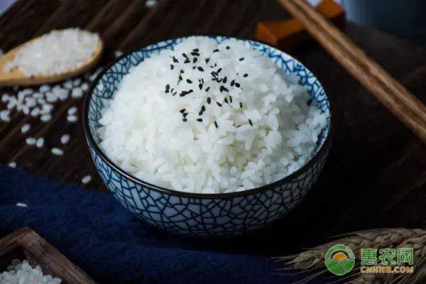 米饭热量是多少？米饭和面条哪个热量高？
