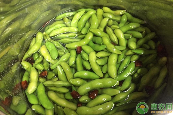 想让煮出的毛豆保持翠绿怎么做才是正确的？