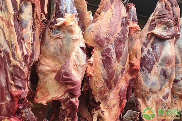 全国哪些地方的羊肉最出名？
