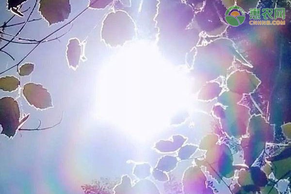 大暑和小暑哪个热？大暑节气南北习俗有何不同？