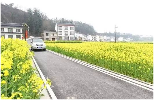 交通运输部：重点实施&quot;四好农村路&quot;助力乡村振兴五大工程
