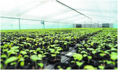 陕西省种业振兴政策法规培训在西安举办