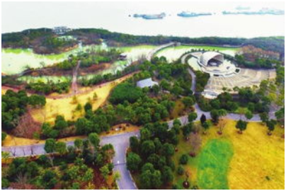 上海市林业总站赴吴淞炮台湾国家湿地公园开展明查暗访