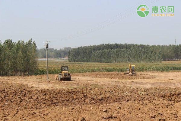 关于征求安徽省农村土地承包数据管理实施细则