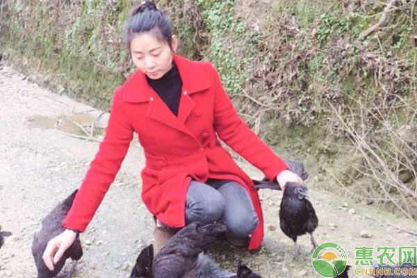 仅靠一个信念坚持四年，只为让“土货”走出村门