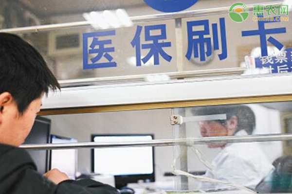 农村医疗保险网上缴费流程