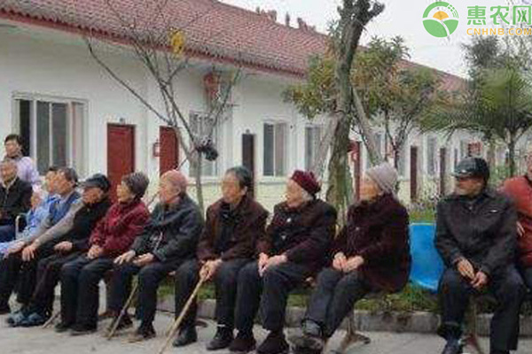 农村老人养老问题有哪些？国家出台了哪些养老政策？