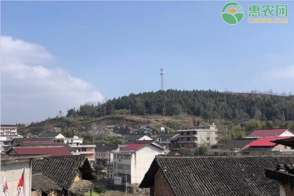 农村宅基地使用权有年限吗？满足哪些条件能依法转让？