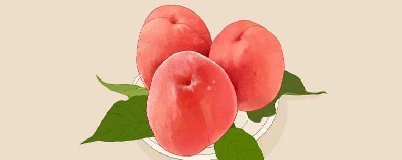 如何保存桃子 保存桃子的方法有哪些