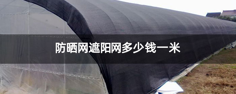 防晒网遮阳网多少钱一米