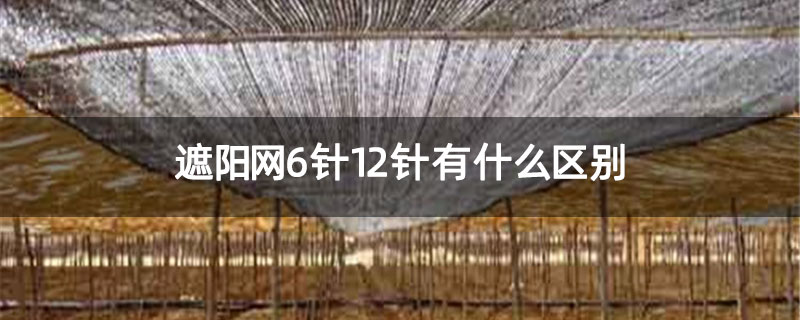 遮阳网6针12针有什么区别