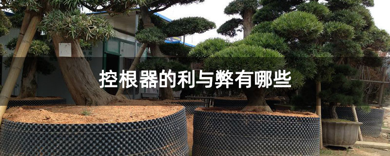 控根器的利与弊有哪些