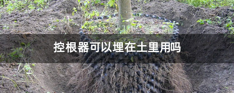 控根器可以埋在土里用吗