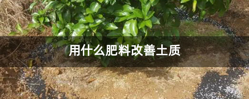 用什么肥料改善土质