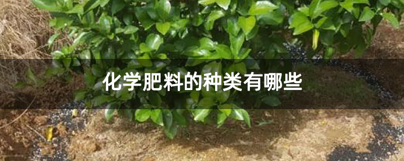 化学肥料的种类有哪些 化学肥料的种类有哪些