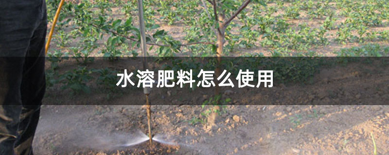 水溶肥料怎么使用