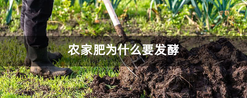 农家肥为什么要发酵 农家肥为什么要发酵