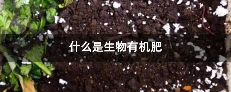什么是生物有机肥