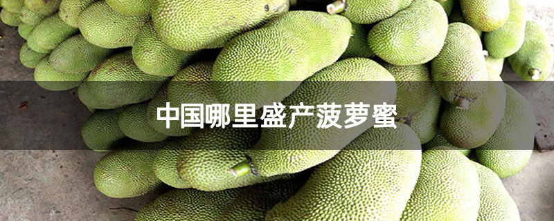中国哪里盛产菠萝蜜