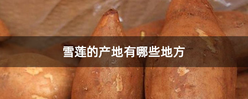 雪莲的产地有哪些地方